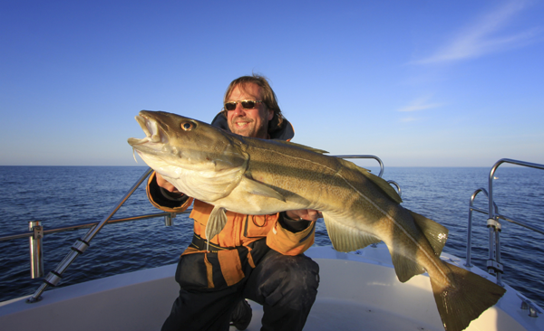 Torskefiske. Istockphoto